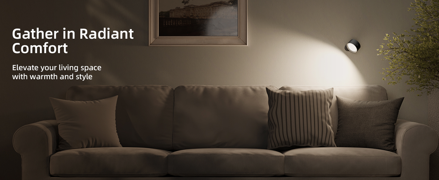 LED Wall Mounted Lights