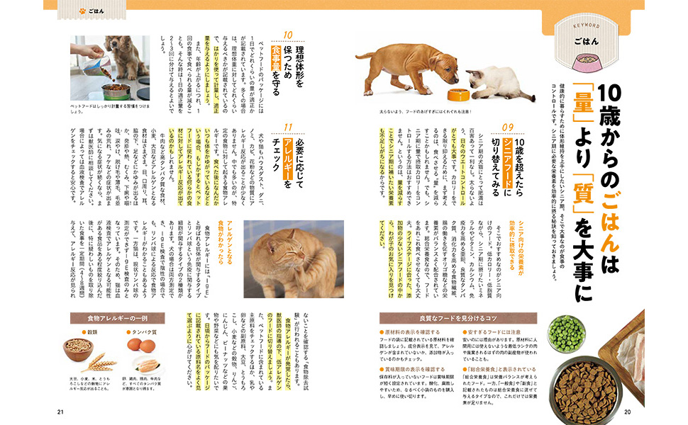 【中古】 性格がイヌ型かネコ型かわかれば、人生は１００倍ラクになる/読売新聞社/タニア・マッキノン 性格がイヌ型かネコ型かわかれば、人生は100倍ラクになる