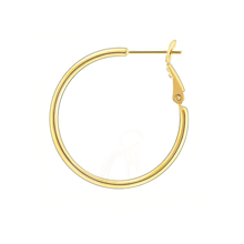 Veotain heart earrings