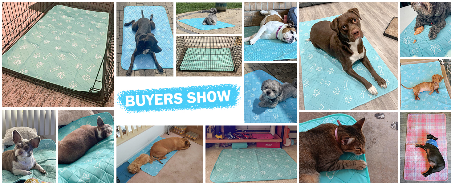 Pet Cooling Cushion Mat