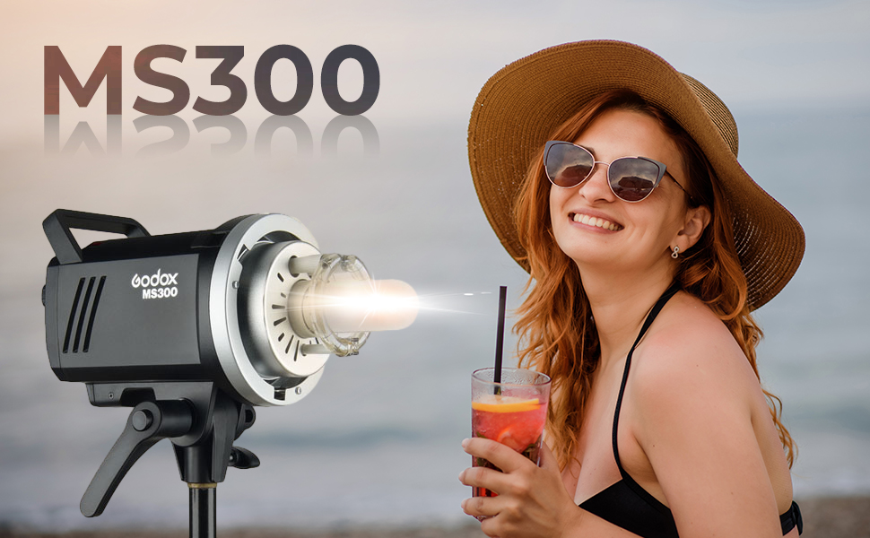 MS300