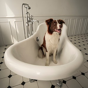 Clean and fresh Lifestyle 2