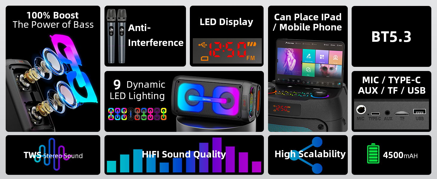 portable speaker with microphone