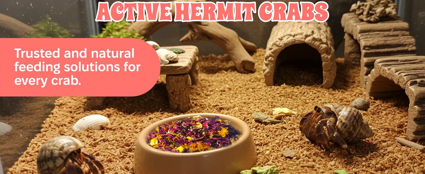 Whole food diets supports the natural foraging and exploring needs of wild and captive hermit crabs