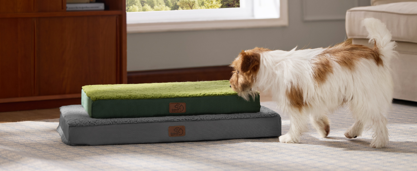 dog bed