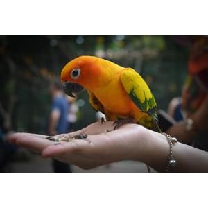 Small manufacture image 1