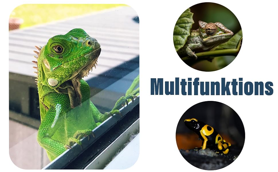 Zusammengesetztes Bild mit einem hellgrünen Leguan und zwei kreisförmigen Tierbildern. Text 'Multifunktionen' sichtbar.