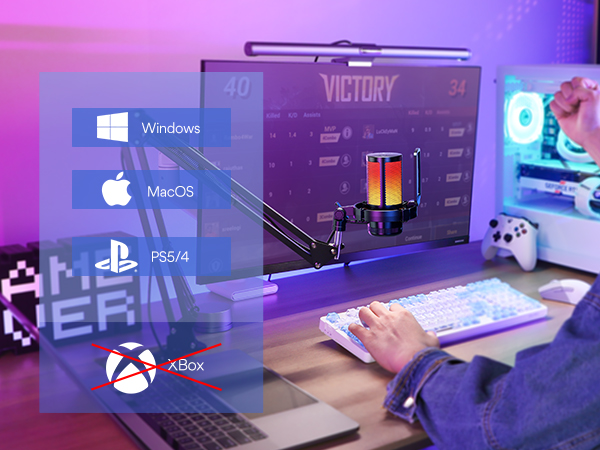 Recording Microphone