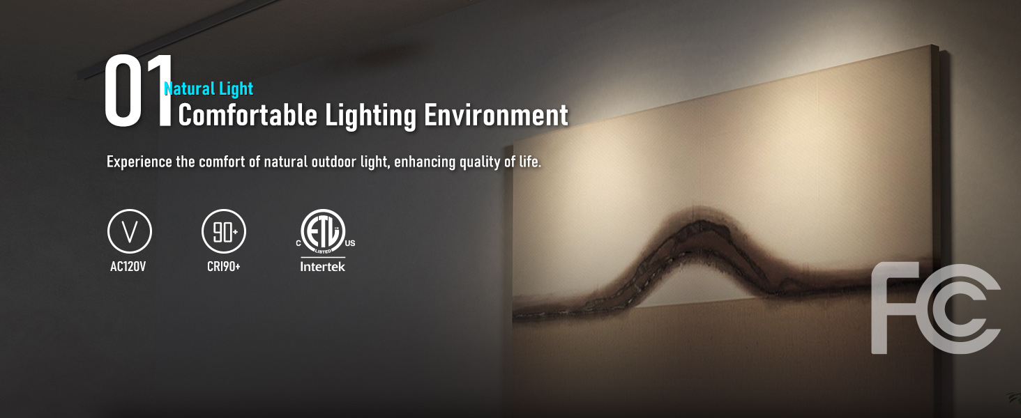 H Track Lighting