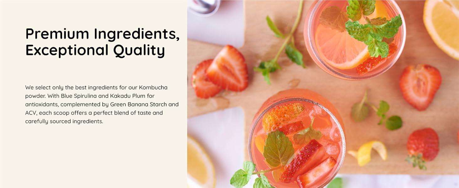 Kombucha Powder Premium Ingredients