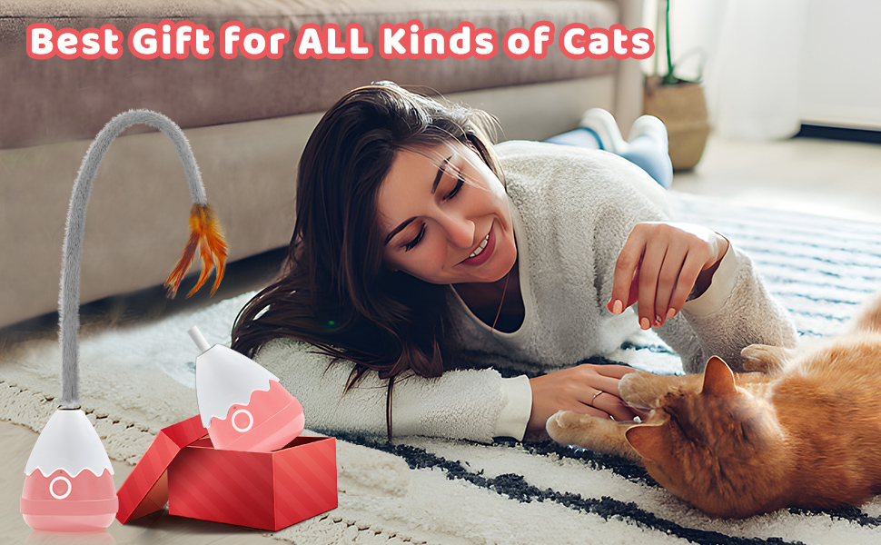 lifefav Cat Toys for Indoor Cats, Electronic Interactive Cat Toys