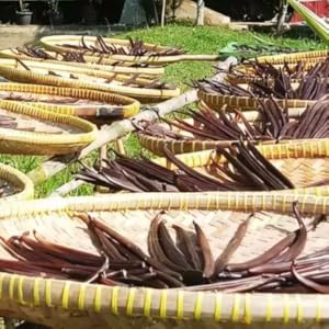 Small manufacture image 1