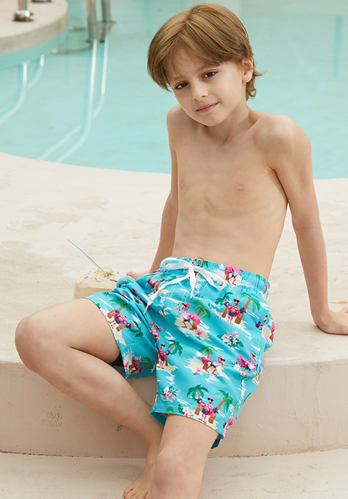Flamingo Bathing Suits Boys
