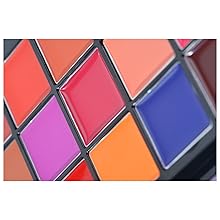 An image shows the great pigmentation of carmela lipstick palette