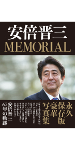 刑法改正の諸問題　竹田直平博士・植田重正博士還暦記念　有斐閣〔絶版品切中稀覯書〕 刑法改正の諸問題 竹田直平博士・植田重正博士還暦記念 有斐閣