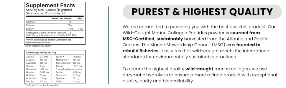 wild-caught marine collagen powder, sustainable msc certified fish collagen with amino acid profile