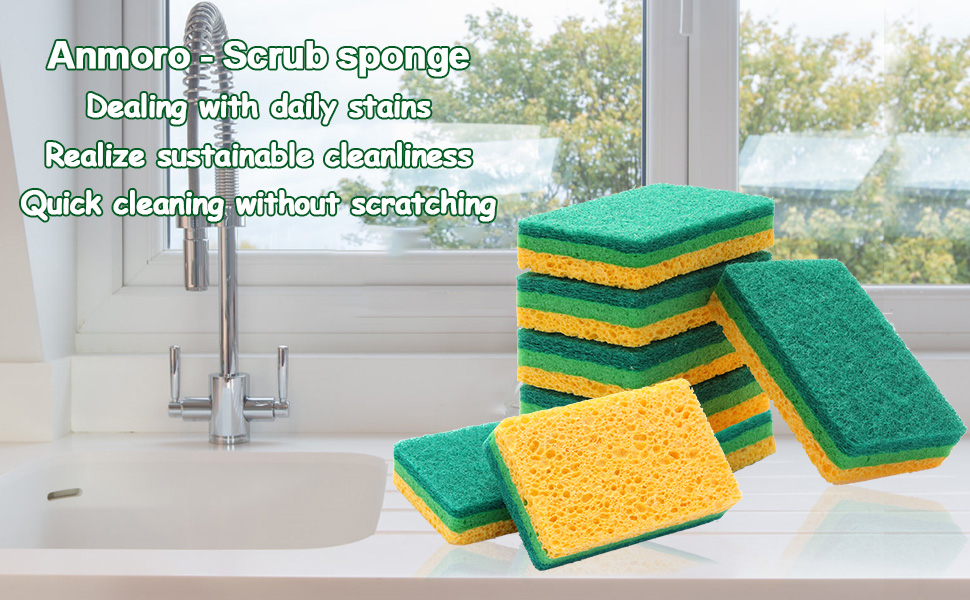 cleaning sponge