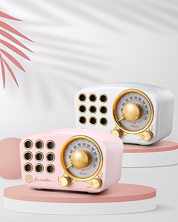 Portable AM FM Radio