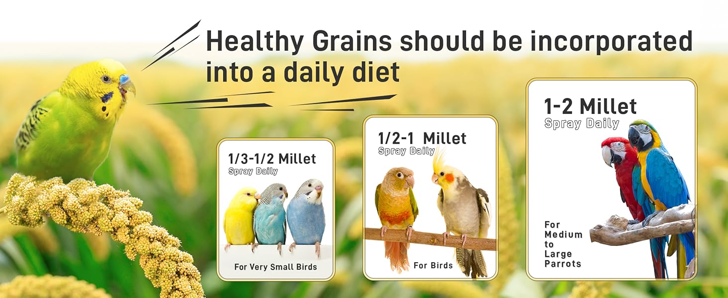 spray millet