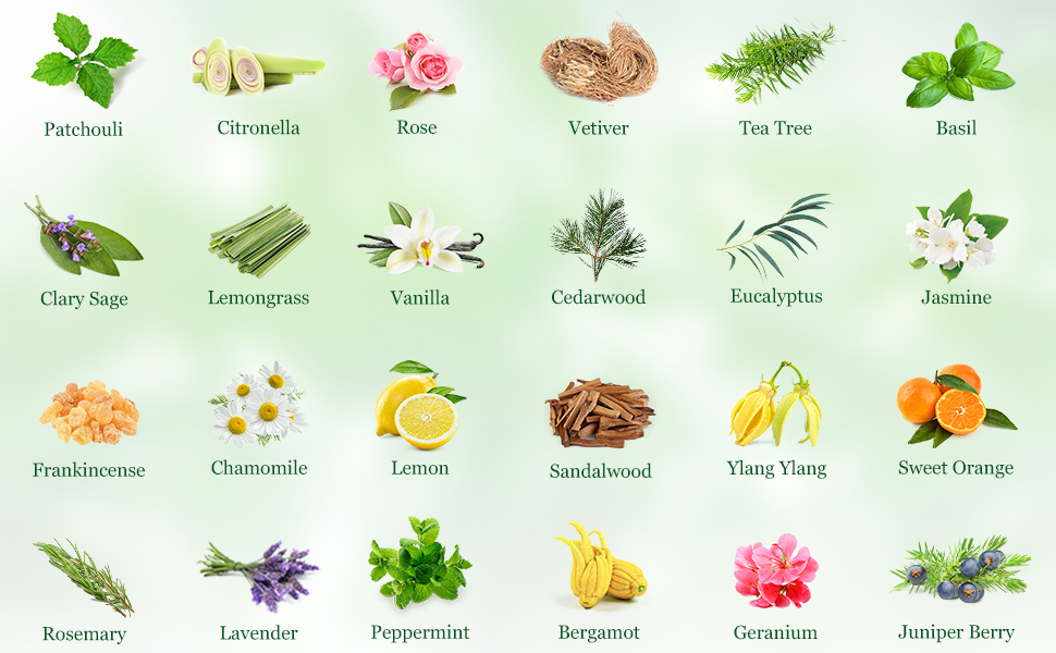 MAYJAM Top 28 Essential Oil Set for Diffuser Massage
