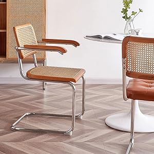 Erinotto ダイニングラタンチェア 61jfwtwx7AL._AC_UF894,