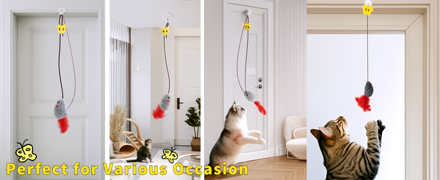 Self Play Cat Toy, 2 Pack Cat Mouse Toy Door Hanging Interactive Cat Toy with Squeaky Sound