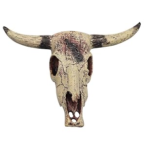 Bearded Dragon Tank Decor