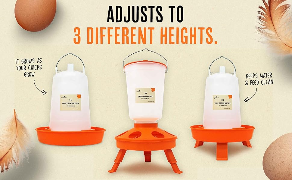 Roosty's Chick Feeder and Waterer Kit, Chicken Feeder and