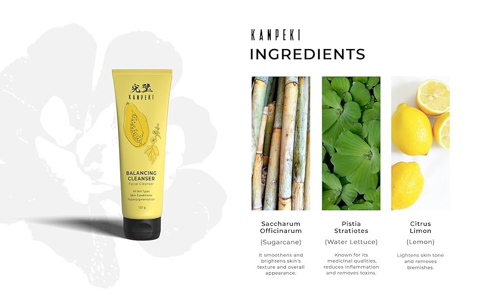 Kanpeki Balancing Cleanser Facial Cleanser Reduces