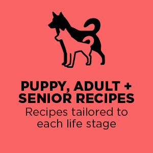 Recipe Tailored to each life stage