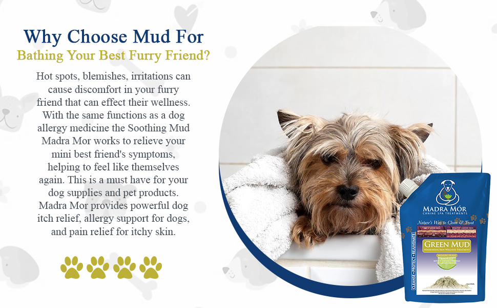 Worldwide Nutrition Bundle Madra Mor Dog Essentials Mud