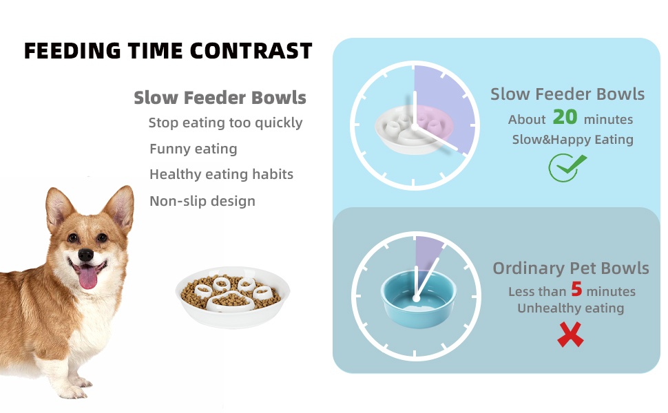 Pet Supplies Fun Slow Feeder Cat Bowl, Ceramic Slow Eater Bowl for