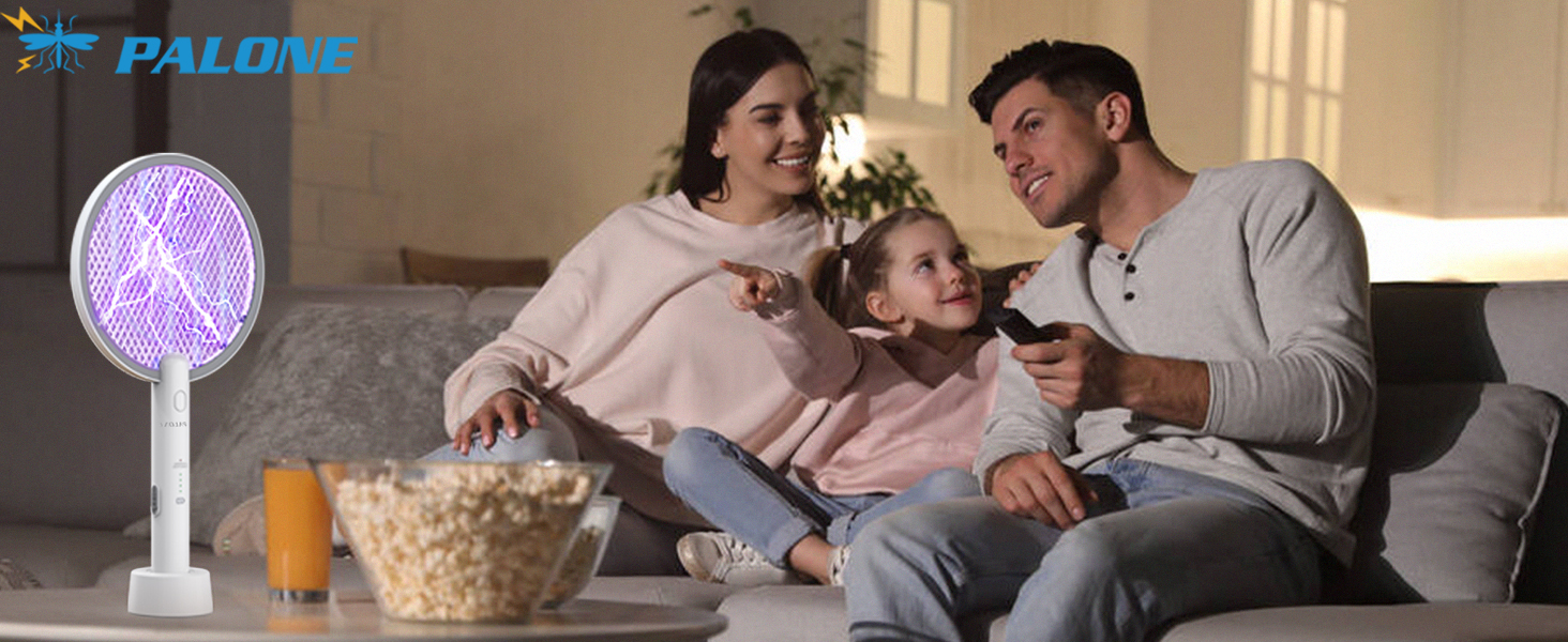 electric fly swatter for indoor