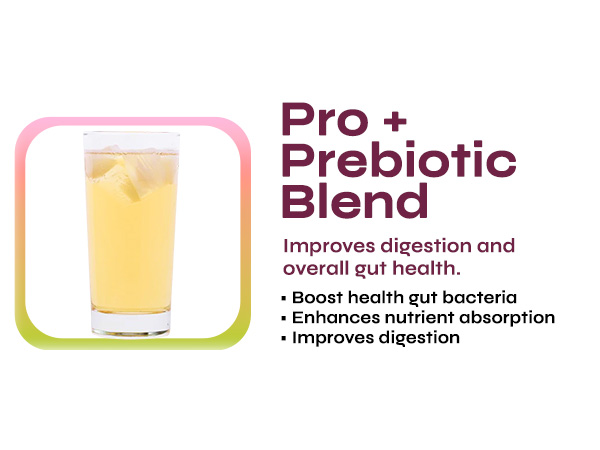 probiotics prebiotics for women and men digestive gut health 