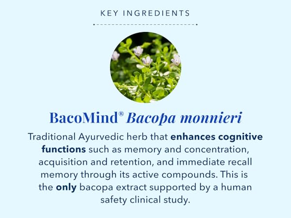 Stonehenge Health - Dynamic Brain - BacoMind