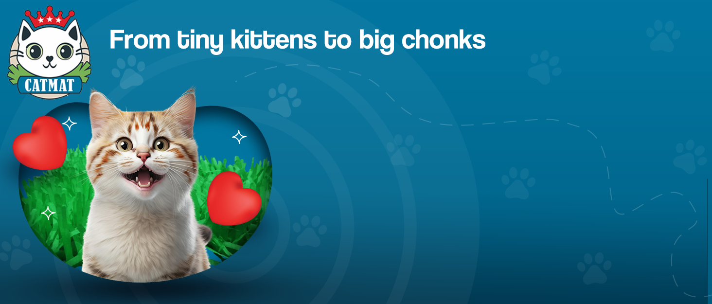 CATMAT. Tissue Paper Cat Mat. Green paper imitation grass play mat