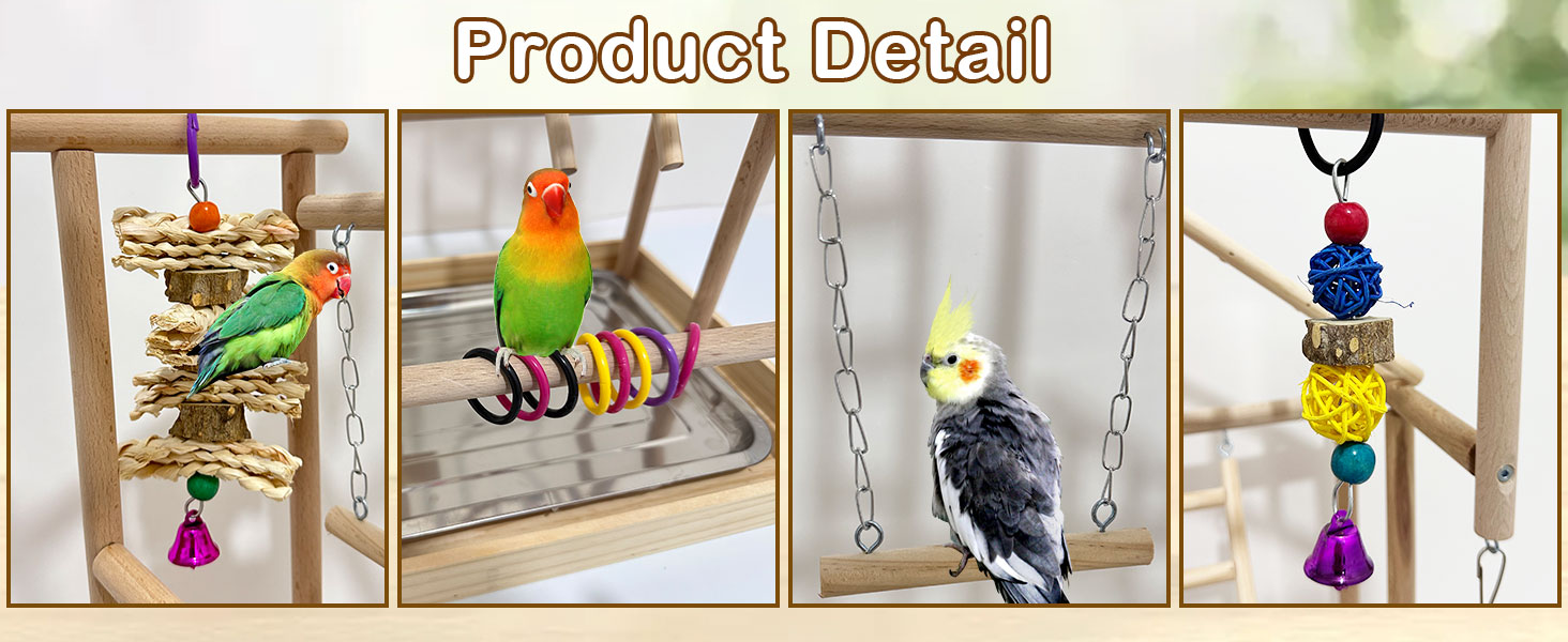 parakeet playground outside cage