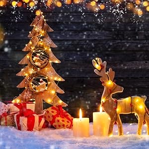 fairy Christmas lights