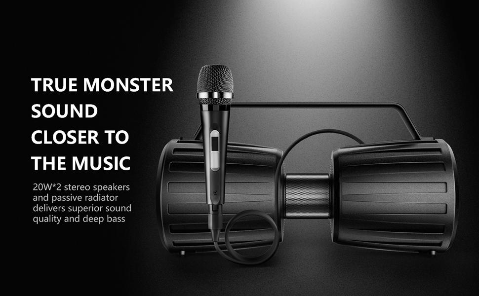 portable wireless speaker