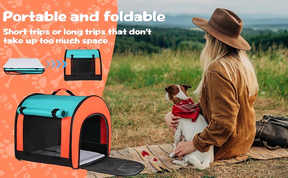 Pet travel carrier for dogs cats