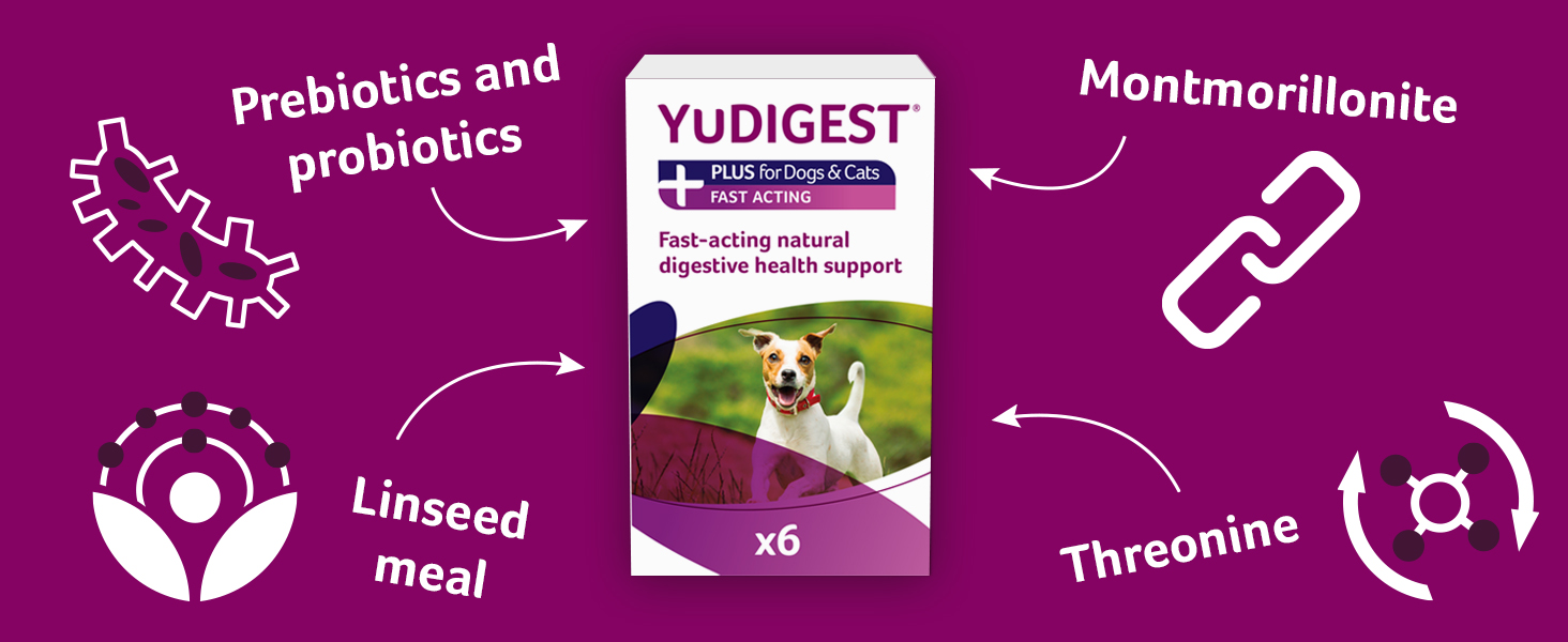 Lintbells YuDIGEST Plus for Dogs Veterinary Strength Fastacting