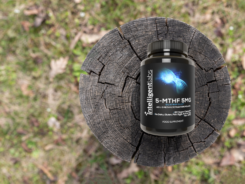 Large manufacture image 1