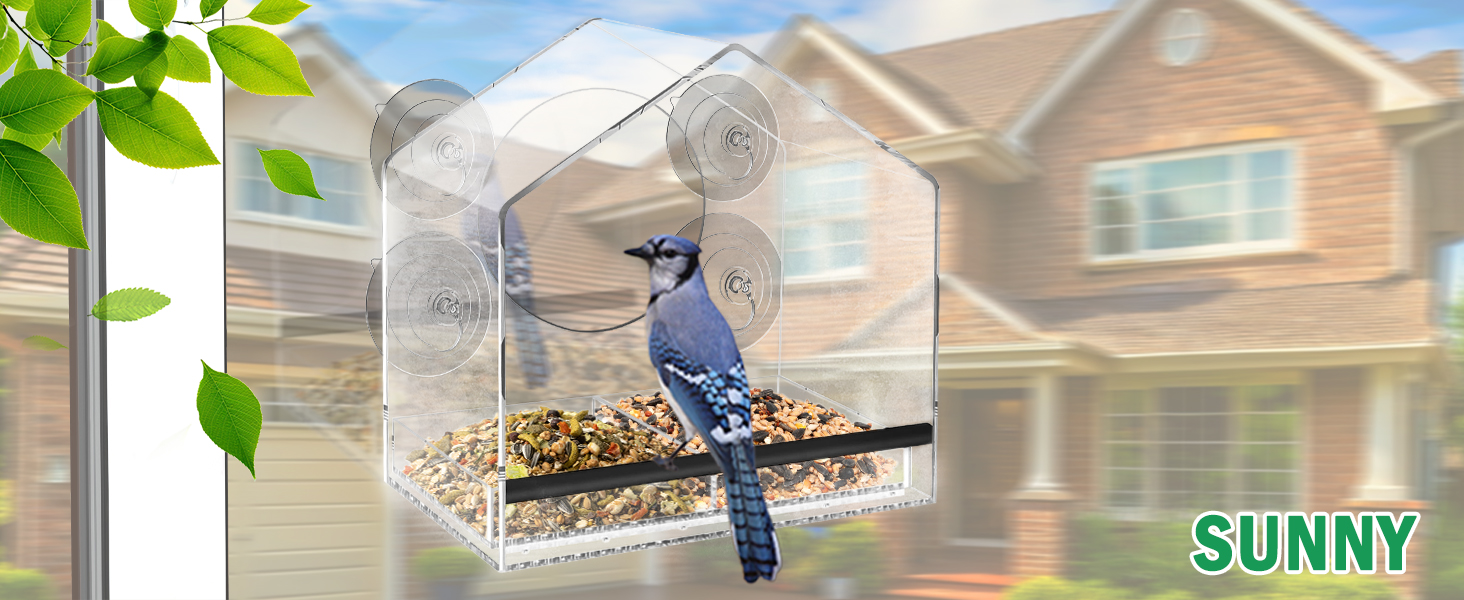 window bird feeder for viewing