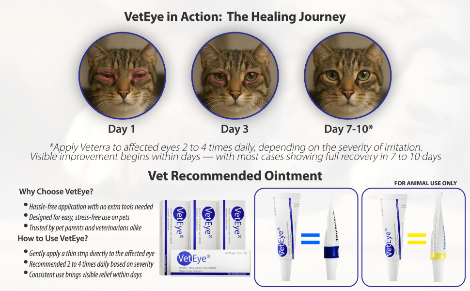 Dacryocystitis treatment pets, Pet eye relief, Veterinary ophthalmology, Eye inflammation pets