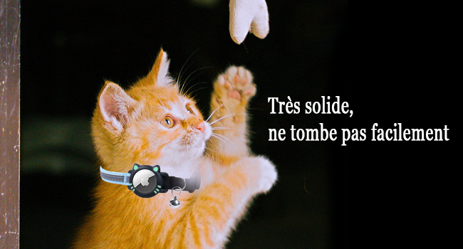 Collier Chat Airtag Compatible avec Apple Air Tag Réfléchissant