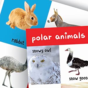 My First 4 In 1 One Wild Animals, Pet and Farm Animals, Birds, Sea Animals: Padded Board Books 
