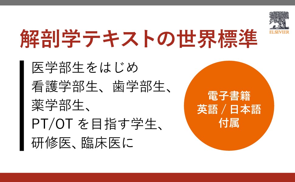 グレイ解剖学 原著第5版 | Richard L. Drake, A.Wayne Vagi, Adam