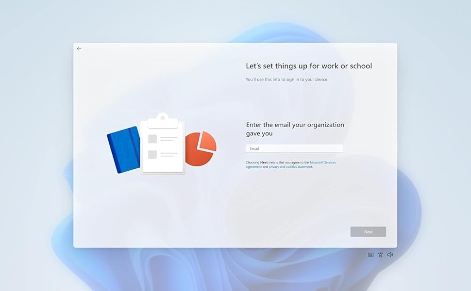 Microsoft Windows 11 Pro