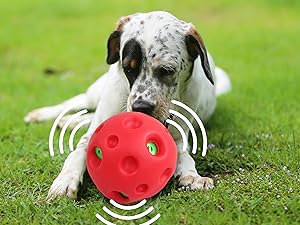 音がなるわんこ 18a241ac-7908-4468-b0e9-