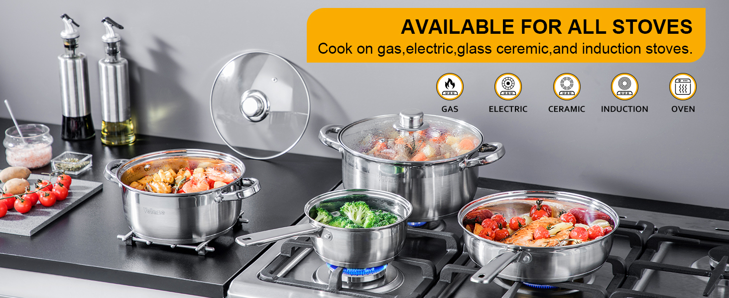 Stainless steel cookware set on stovetop. Multiple pots and pans with glass lids. Text indicates compatibility with all stove types including induction.